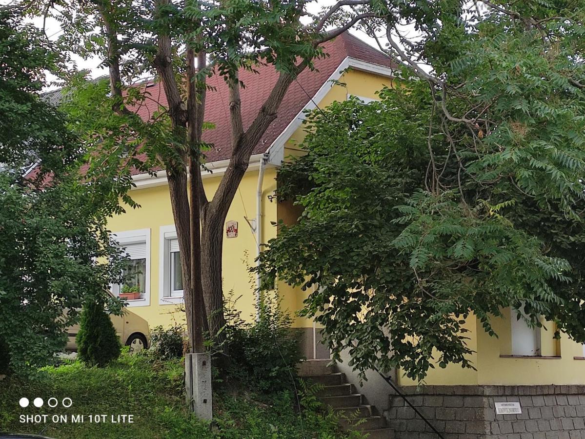 Szitakoeto Apartman エゲル エクステリア 写真